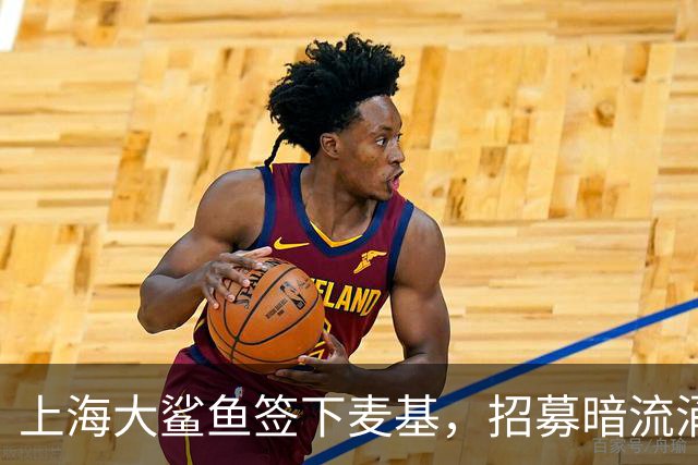 上海大鲨鱼签下麦基，招募暗流涌动，三剑客齐聚成型